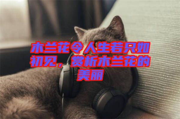 木蘭花令人生若只如初見，賞析木蘭花的美麗