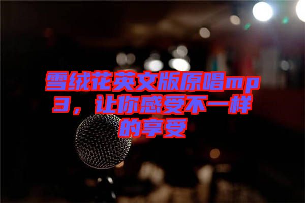 雪絨花英文版原唱mp3，讓你感受不一樣的享受