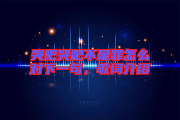 哭吧哭吧不是罪怎么對下一句，歌詞介紹