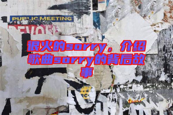 很火的sorry，介紹歌曲sorry的背后故事