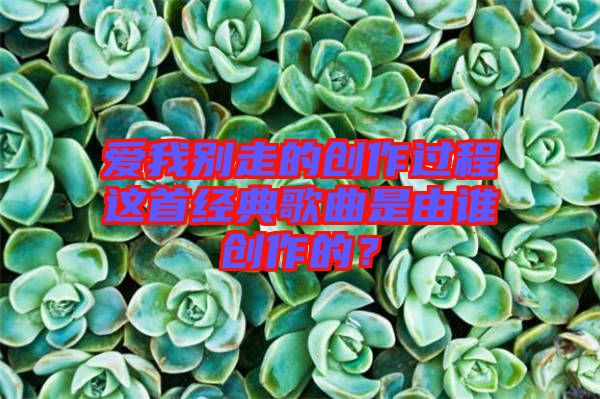 愛我別走的創(chuàng)作過程這首經(jīng)典歌曲是由誰創(chuàng)作的？