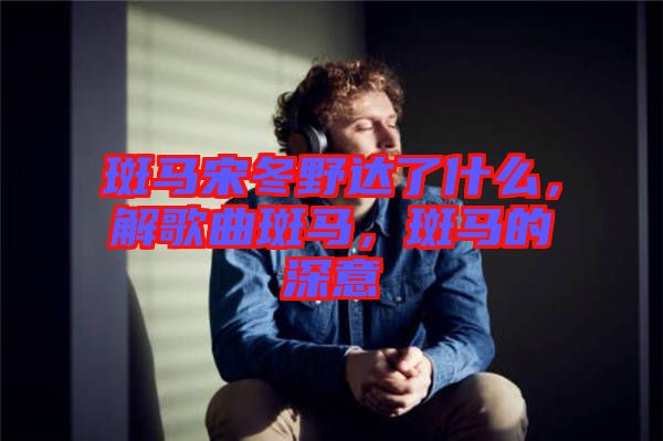 斑馬宋冬野達了什么，解歌曲斑馬，斑馬的深意