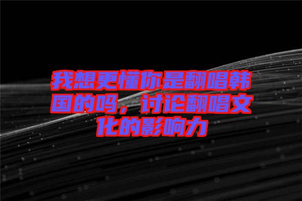 我想更懂你是翻唱韓國的嗎，討論翻唱文化的影響力