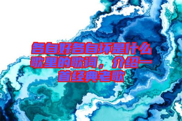 各自好各自壞是什么歌里的歌詞，介紹一首經(jīng)典老歌