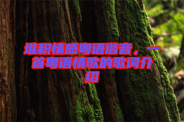 堆積情感粵語諧音，一首粵語情歌的歌詞介紹