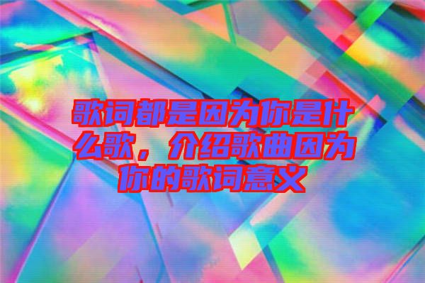 歌詞都是因為你是什么歌，介紹歌曲因為你的歌詞意義