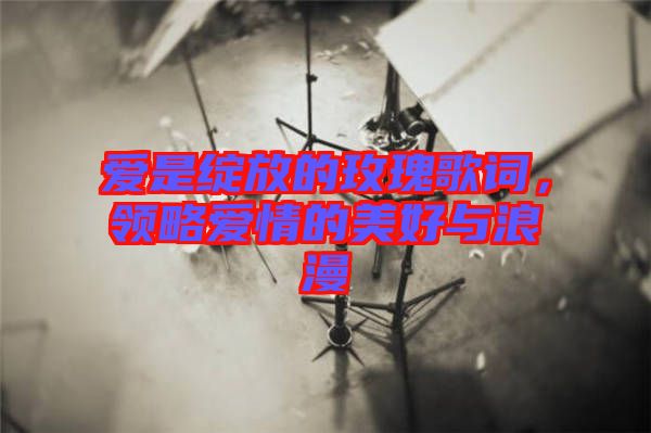 愛(ài)是綻放的玫瑰歌詞，領(lǐng)略愛(ài)情的美好與浪漫