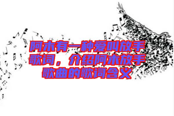 阿木有一種愛叫放手歌詞，介紹阿木放手歌曲的歌詞含義