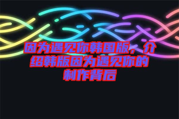 因?yàn)橛鲆娔沩n國(guó)版，介紹韓版因?yàn)橛鲆娔愕闹谱鞅澈? width=