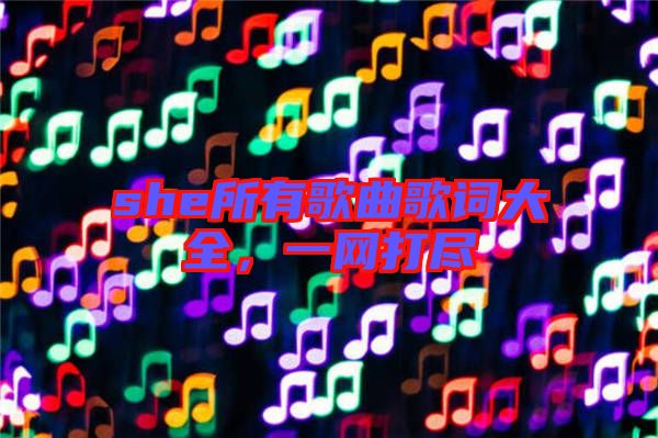 she所有歌曲歌詞大全，一網(wǎng)打盡