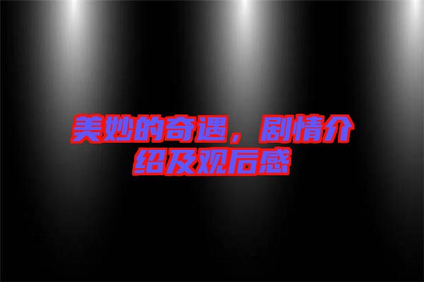 美妙的奇遇，劇情介紹及觀后感