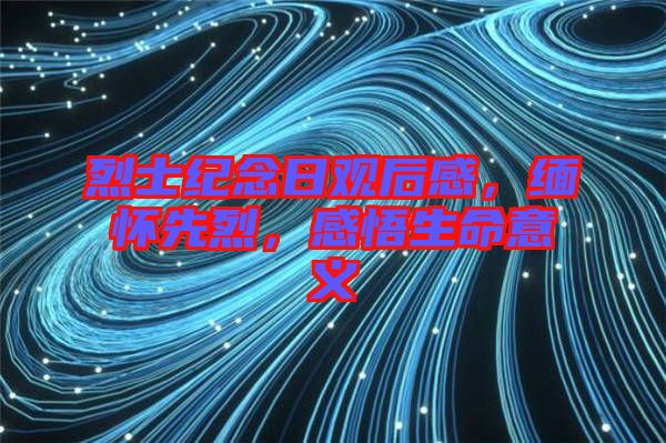 烈士紀念日觀后感，緬懷先烈，感悟生命意義