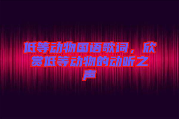 低等動(dòng)物國(guó)語(yǔ)歌詞，欣賞低等動(dòng)物的動(dòng)聽之聲