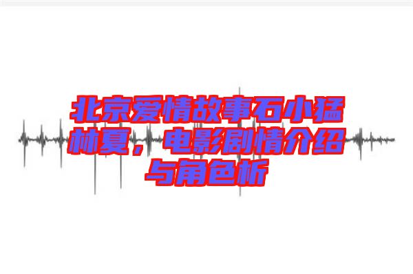 北京愛(ài)情故事石小猛林夏，電影劇情介紹與角色析