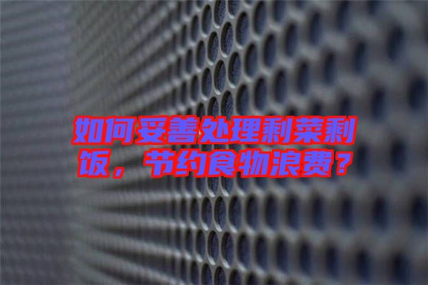 如何妥善處理剩菜剩飯，節(jié)約食物浪費(fèi)？