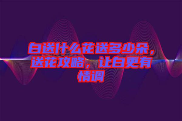 白送什么花送多少朵，送花攻略，讓白更有情調(diào)