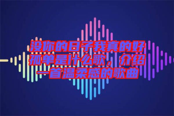 沒你的日子我真的好孤單是什么歌，介紹一首溫柔感的歌曲