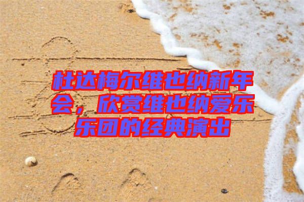 杜達(dá)梅爾維也納新年會(huì)，欣賞維也納愛樂樂團(tuán)的經(jīng)典演出