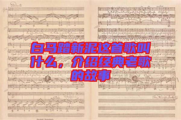 白馬踏新泥這首歌叫什么，介紹經(jīng)典老歌的故事