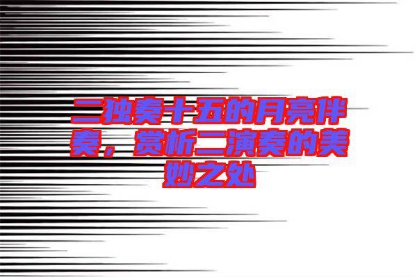 二獨(dú)奏十五的月亮伴奏，賞析二演奏的美妙之處