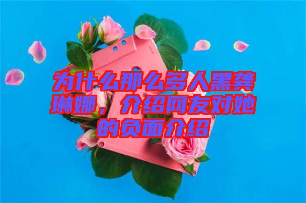 為什么那么多人黑龔琳娜，介紹網(wǎng)友對她的負(fù)面介紹