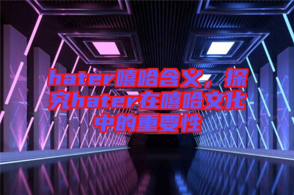 hater嘻哈含義，探究hater在嘻哈文化中的重要性