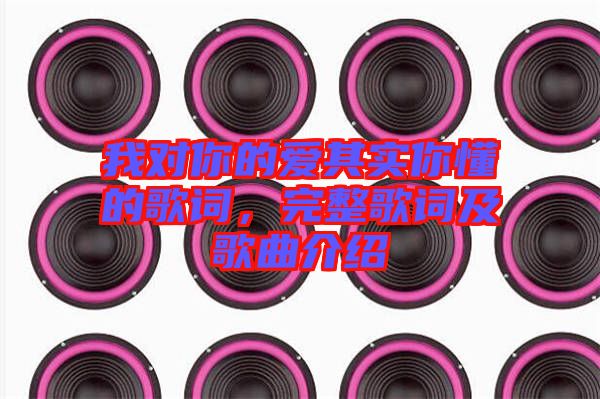 我對你的愛其實你懂的歌詞，完整歌詞及歌曲介紹