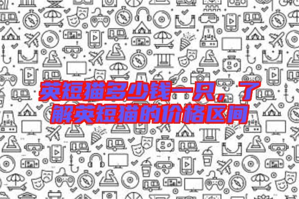 英短貓多少錢一只，了解英短貓的價格區(qū)間