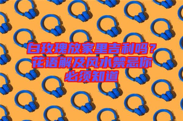 白玫瑰放家里吉利嗎？花語解及風(fēng)水禁忌你必須知道