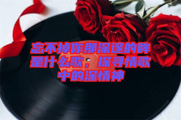 忘不掉你那深邃的眸是什么歌，探尋情歌中的深情神