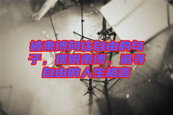 被束縛向往自由的句子，擺脫束縛，追尋自由的人生格言