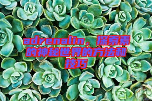 adrenalin，探索素的神秘世界的方法和技巧