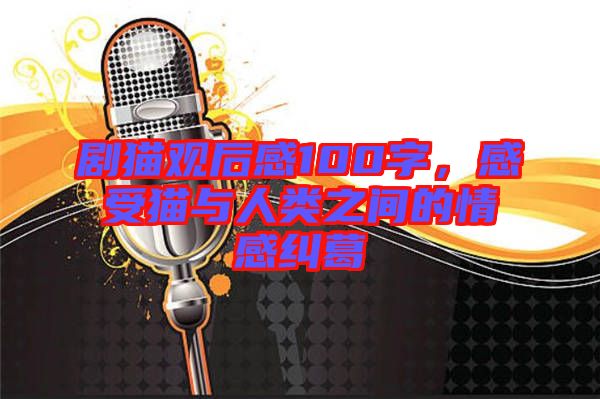 劇貓觀后感100字，感受貓與人類之間的情感糾葛