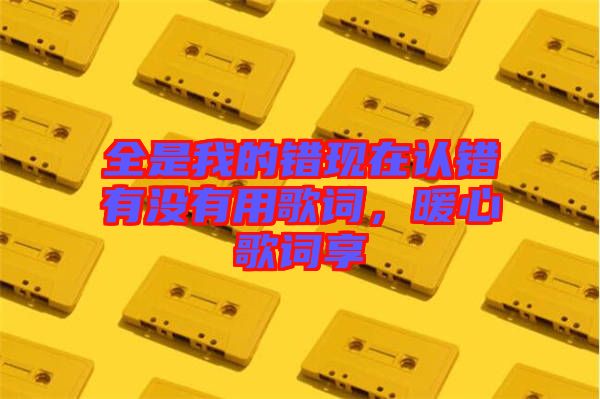 全是我的錯(cuò)現(xiàn)在認(rèn)錯(cuò)有沒有用歌詞，暖心歌詞享