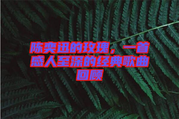 陳奕迅的玫瑰，一首感人至深的經(jīng)典歌曲回顧
