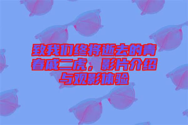 致我們終將逝去的青春戚二虎，影片介紹與觀影體驗