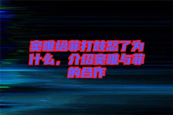 竇唯給菲打鼓怒了為什么，介紹竇唯與菲的合作