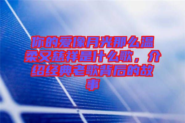 你的愛像月光那么溫柔又慈祥是什么歌，介紹經(jīng)典老歌背后的故事