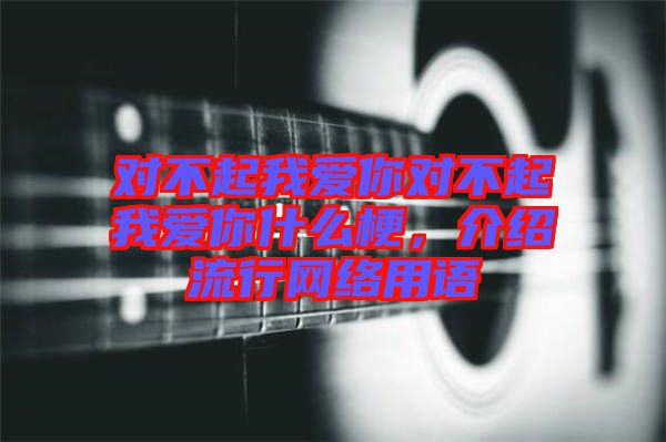 對不起我愛你對不起我愛你什么梗，介紹流行網(wǎng)絡(luò)用語