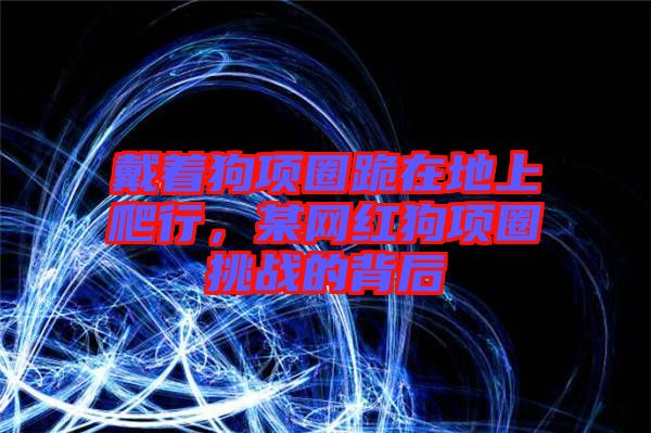 戴著狗項圈跪在地上爬行，某網(wǎng)紅狗項圈挑戰(zhàn)的背后