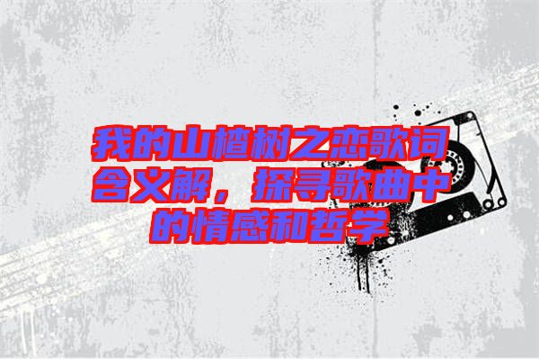 我的山楂樹(shù)之戀歌詞含義解，探尋歌曲中的情感和哲學(xué)