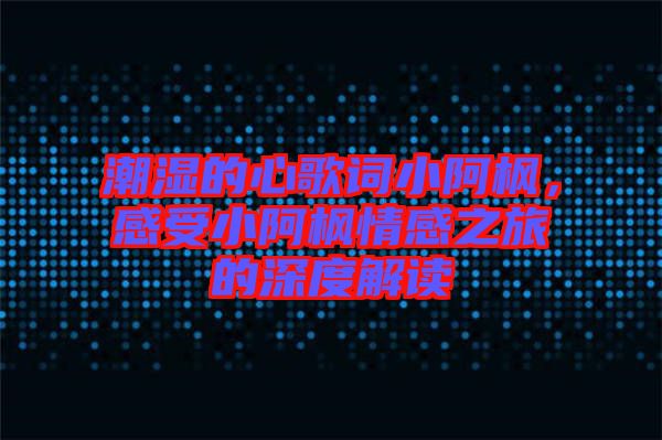 潮濕的心歌詞小阿楓，感受小阿楓情感之旅的深度解讀