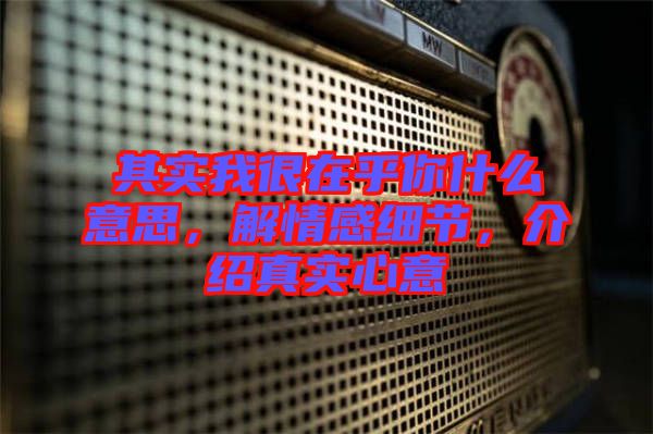 其實我很在乎你什么意思，解情感細節(jié)，介紹真實心意