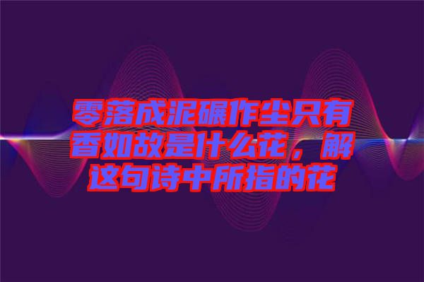 零落成泥碾作塵只有香如故是什么花，解這句詩中所指的花