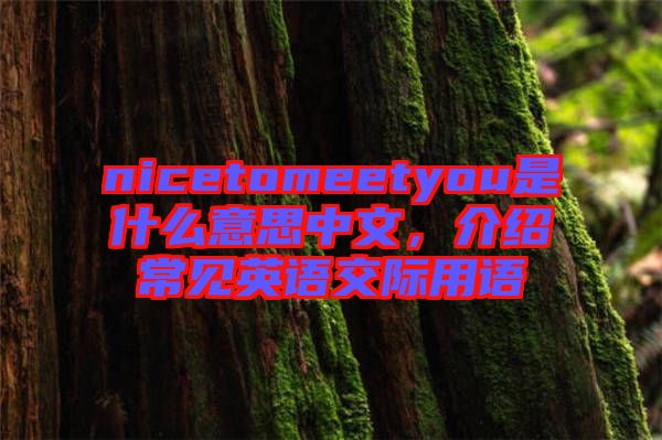 nicetomeetyou是什么意思中文，介紹常見英語交際用語