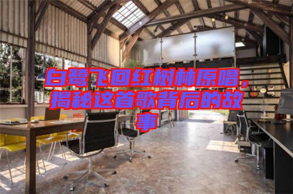 白鷺飛回紅樹林原唱，揭秘這首歌背后的故事