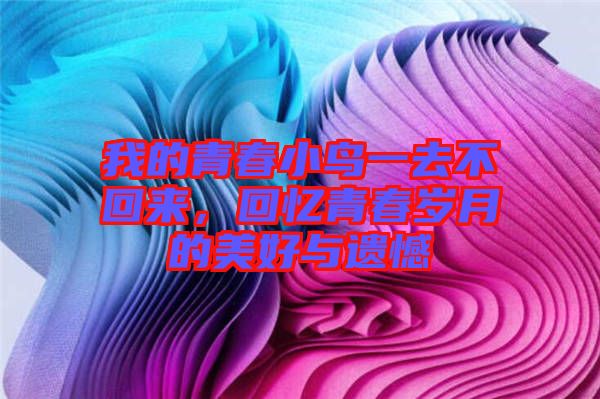 我的青春小鳥一去不回來，回憶青春歲月的美好與遺憾