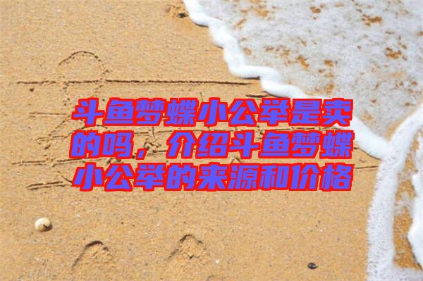 斗魚夢(mèng)蝶小公舉是賣的嗎，介紹斗魚夢(mèng)蝶小公舉的來源和價(jià)格