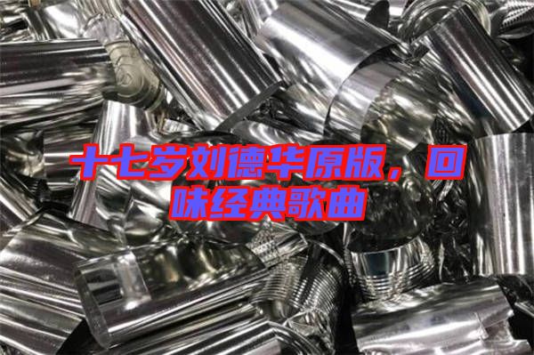 十七歲劉德華原版，回味經(jīng)典歌曲