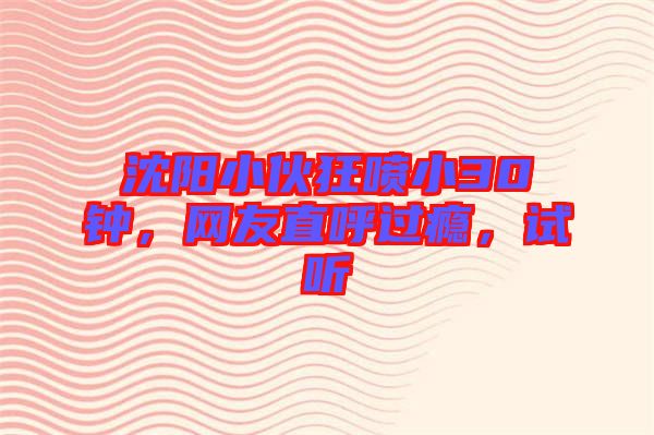 沈陽(yáng)小伙狂噴小30鐘，網(wǎng)友直呼過(guò)癮，試聽(tīng)